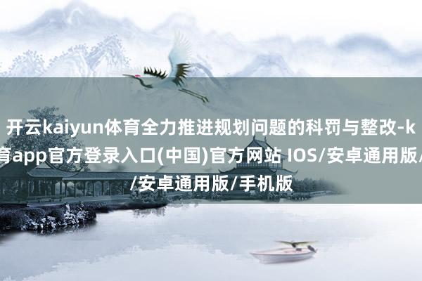 开云kaiyun体育全力推进规划问题的科罚与整改-kai云体育app官方登录入口(中国)官方网站 IOS/安卓通用版/手机版