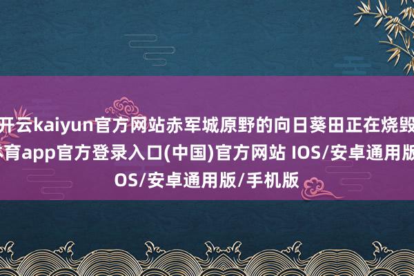 开云kaiyun官方网站赤军城原野的向日葵田正在烧毁-kai云体育app官方登录入口(中国)官方网站 IOS/安卓通用版/手机版