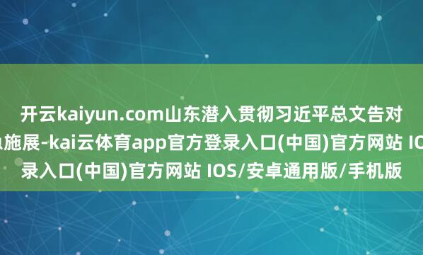 开云kaiyun.com山东潜入贯彻习近平总文告对于民营经济发展的遑急施展-kai云体育app官方登录入口(中国)官方网站 IOS/安卓通用版/手机版