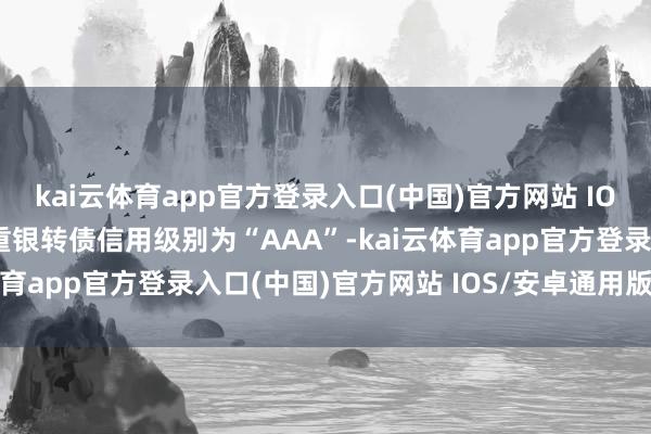 kai云体育app官方登录入口(中国)官方网站 IOS/安卓通用版/手机版重银转债信用级别为“AAA”-kai云体育app官方登录入口(中国)官方网站 IOS/安卓通用版/手机版