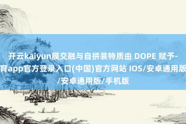 开云kaiyun膜交融与自拼装特质由 DOPE 赋予-kai云体育app官方登录入口(中国)官方网站 IOS/安卓通用版/手机版
