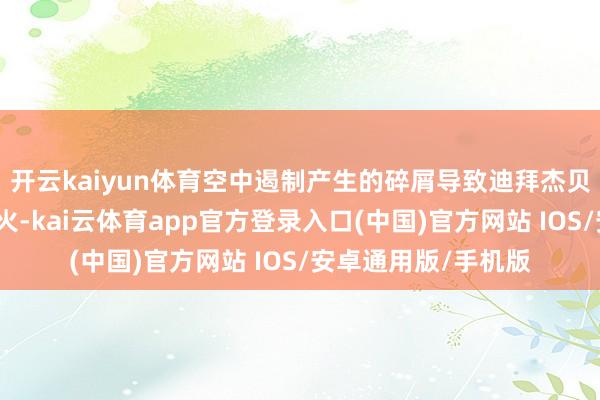 开云kaiyun体育空中遏制产生的碎屑导致迪拜杰贝阿里港一个泊位发火-kai云体育app官方登录入口(中国)官方网站 IOS/安卓通用版/手机版